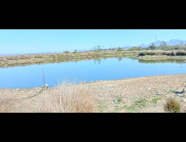 FARM FOR SALE IN GROOT BRAKRIVIER RURAL